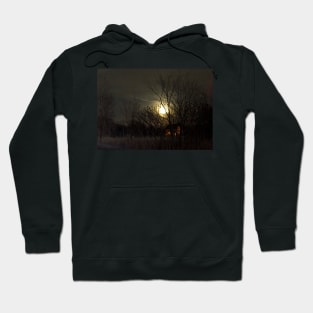 Dark Winter Full Moon Night Hoodie